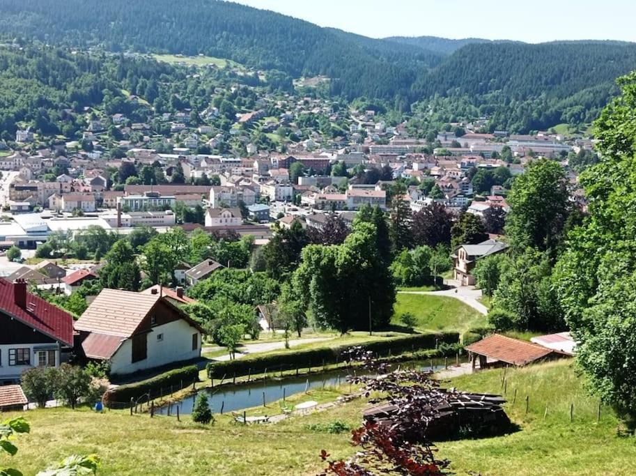 Chalet De Standing 14 Personnes Gérardmer Extérieur photo